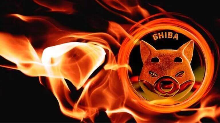 Shiba Inu