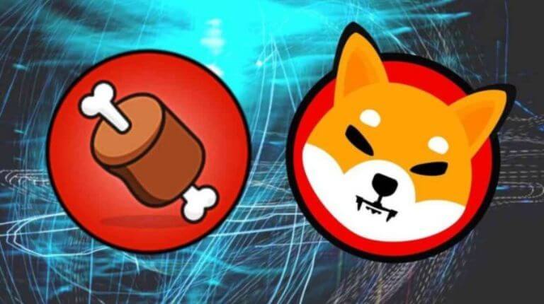 Shiba Inu