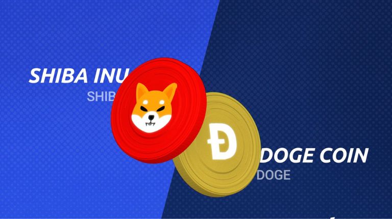 Shiba x Doge