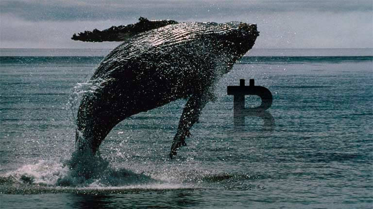 Baleias de Bitcoin acordam